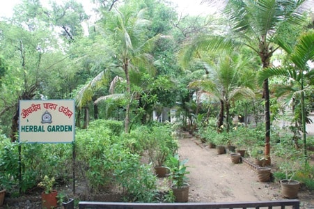 Herbal-Garden